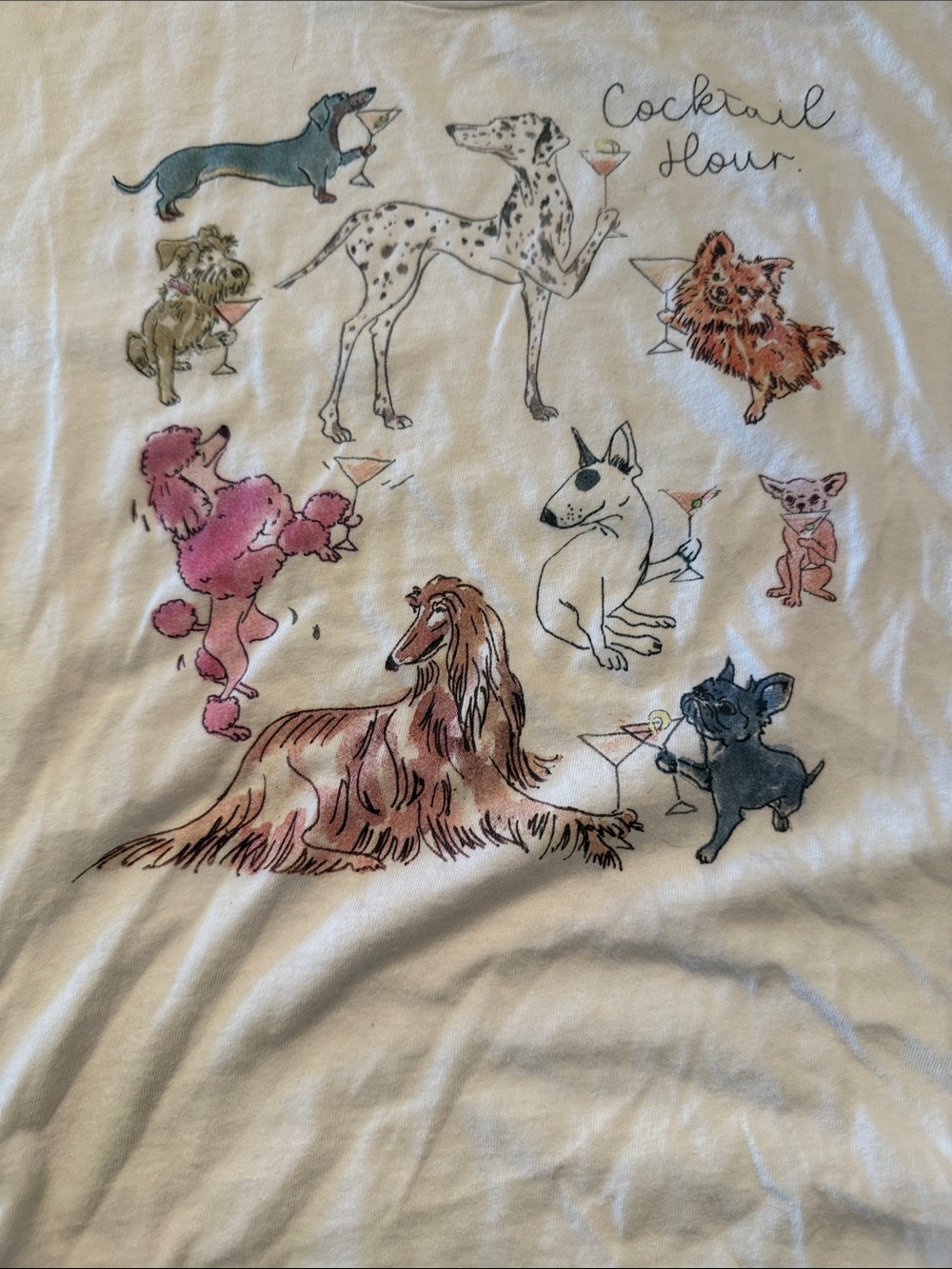 J. Crew White Graphic Tee with Pink, Blue, Brown and Black Dog Illustrations
L